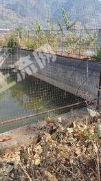 攀枝花米易县 25亩 果园 经营权出租