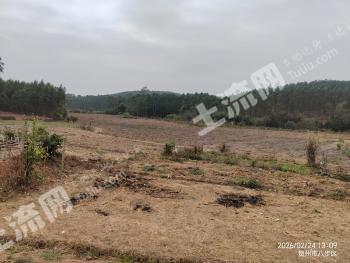 贺州八步区 93亩 水浇地 经营权出租