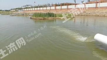 连云港连云区 23.21亩 设施农用地 经营权出租