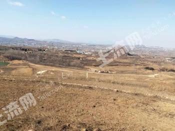 淄博淄川区 1600亩 荒地 使用权出租