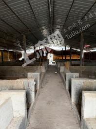 贺州八步区 1.68亩 设施农用地 经营权出租