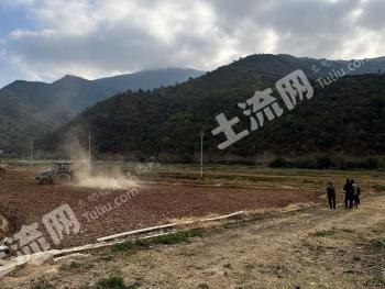 玉溪新平彝族傣族自治县 293.42亩 水田 经营权出租