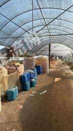 三明清流县 128.23亩 水田 经营权出租