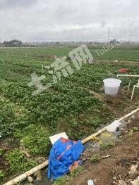 百色田东县 400亩 水浇地 经营权转让