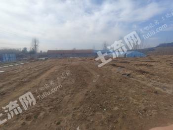 日照东港区 4亩 水浇地 经营权出租