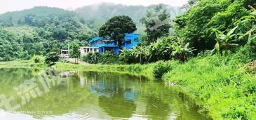 普洱市宁洱哈尼族彝族自治县 50亩 水库水面 经营权转让