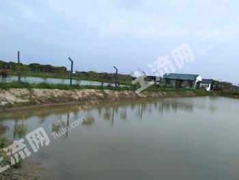 上海浦东新区 14.5亩 坑塘水面 经营权转让
