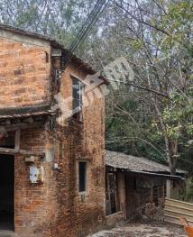 佛山三水区 10亩 设施农用地 经营权出租