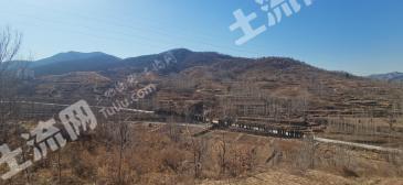 淄博博山区 163.8亩 其它园地 经营权转包