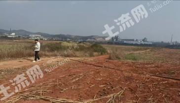 曲靖沾益区 1200亩 旱地 经营权出租