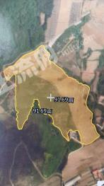 大连庄河市 91.69亩 旱地 经营权转让