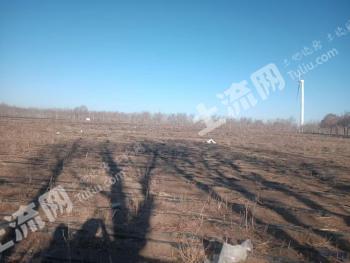 张家口张北县 100亩 水浇地 经营权出租