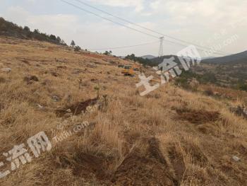 曲靖沾益区 4000亩 荒山 使用权出租