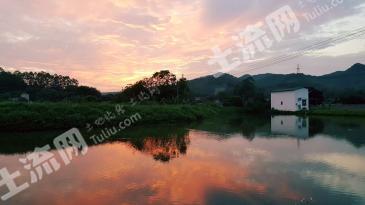 肇庆四会市 19.5亩 坑塘水面 经营权转包