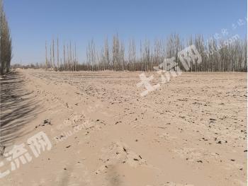 兰州永登县 76.12亩 水田 经营权出租