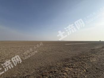 阿勒泰福海县 40000亩 天然牧草地 经营权出租