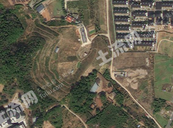 宁波海曙区 49.59亩 果园 经营权出租