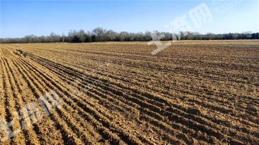 铁岭银州区 22亩 旱地 经营权出租