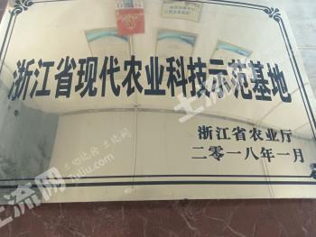 金华东阳市 1000.62亩 水田 经营权出租