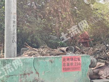 乐东黎族自治县千家镇0.34亩农村宅基地使用权出租