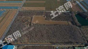 潍坊昌乐县 50.47亩 果园 经营权出租