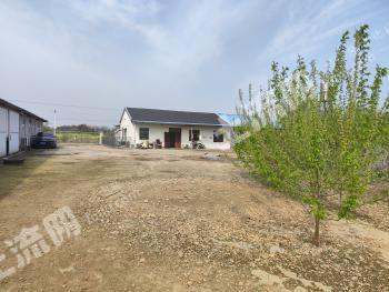 安庆桐城市 12.44亩 其它林地 经营权出租