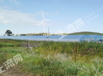 承德丰宁满族自治县 200亩 设施农用地 经营权出租