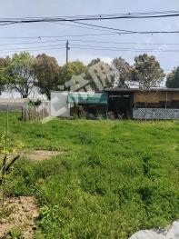 南京江宁区 16.71亩 坑塘水面 经营权出租