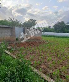 昆明嵩明县 4亩 仓储用地 使用权出租