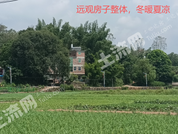 河源连平县 0.3亩 农家庭院 使用权出租