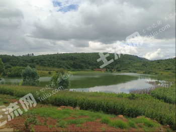 昆明石林彝族自治县 106.83亩 其它林地 经营权转让