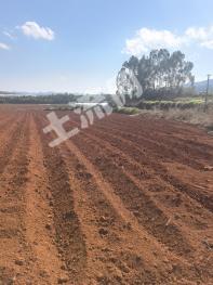 昆明安宁市 261.23亩 旱地 经营权出租