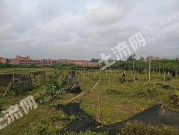 湛江廉江市 31.97亩 其它商服用地 使用权出租