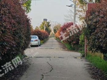 武汉蔡甸区 300亩 其它林地 经营权出租