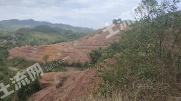 防城港上思县 200亩 其它林地 经营权出租