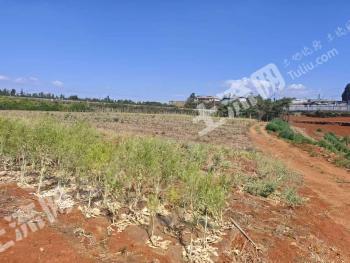 昆明官渡区 21亩 水浇地 经营权出租