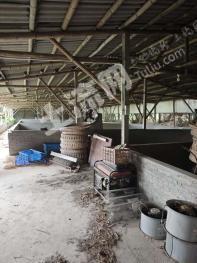 江门开平市12.54亩农场使用权出租