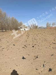 赤峰翁牛特旗 9.45亩 空闲地 使用权出租