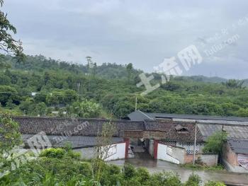 乐山犍为县 72.53亩 水田 经营权转包