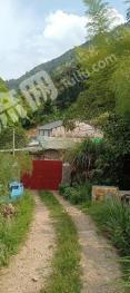 温州永嘉县 11.33亩 农场 使用权合作