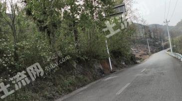 毕节织金县 60.65亩 其它林地 经营权出租