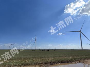 乌兰察布四子王旗 4763亩 天然牧草地 经营权出租