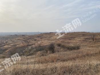 南阳镇平县 178.08亩 果园 经营权转包