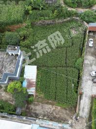 普洱市澜沧拉祜族自治县 349平方米 城镇住宅用地 使用权转让