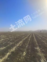 通辽科尔沁区 2100亩 水浇地 经营权出租