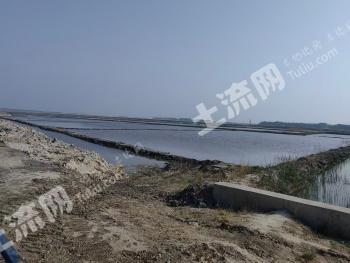大庆肇源县 3650亩 水田 经营权转让