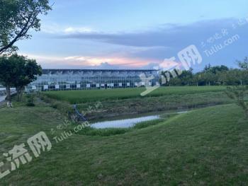上海崇明县 107.38亩 果园 经营权转让