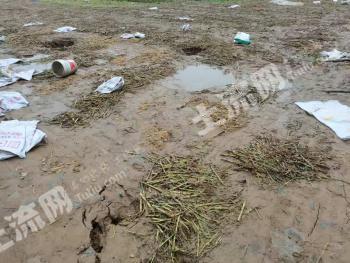 徐州邳州市 20亩 水浇地 经营权出租