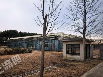 南京江宁区 499.3亩 设施农用地 经营权出租