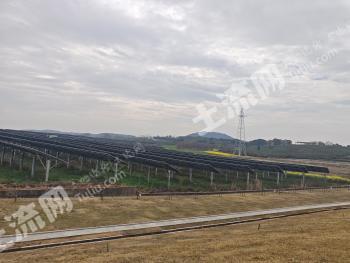 镇江丹徒区 800亩 茶园 经营权出租